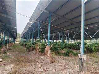 Cần bán dự án pin năng lượng mặt trời tại tây ninh, giá cực chất 25 tỷ, 20.654m2