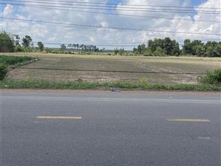 Bán đất tại đường 781, 1,7 tỷ, 2018 m2, châu thành, tây ninh