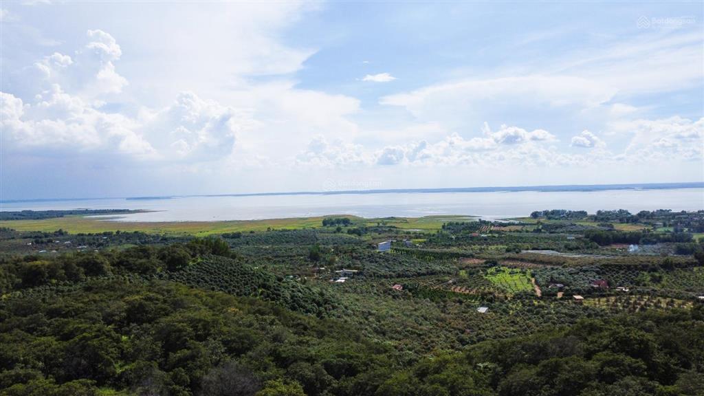 Bán gấp 2ha (20.000m2) đất vườn giáp suối nằm gần hồ trị an, đá ba chồng. giá chỉ 300 triệu