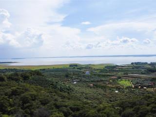 Bán gấp 2ha (20.000m2) đất vườn giáp suối nằm gần hồ trị an, đá ba chồng. giá chỉ 300 triệu