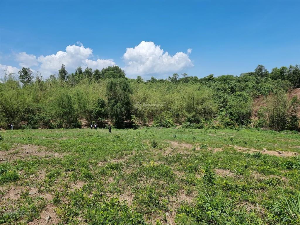 Bán gấp 2ha (20.000m2) đất vườn giáp suối nằm gần hồ trị an, đá ba chồng. giá chỉ 300 triệu