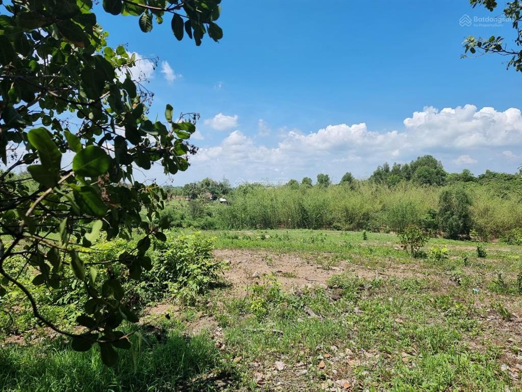 Bán gấp 2ha (20.000m2) đất vườn giáp suối nằm gần hồ trị an, đá ba chồng. giá chỉ 300 triệu