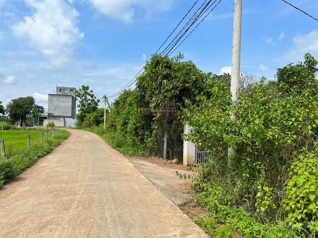 5ha đất vườn gần đá ba chồng, hồ trị an, điểm giao cao tốc. đường bê tông. giá 265 triệu/sào