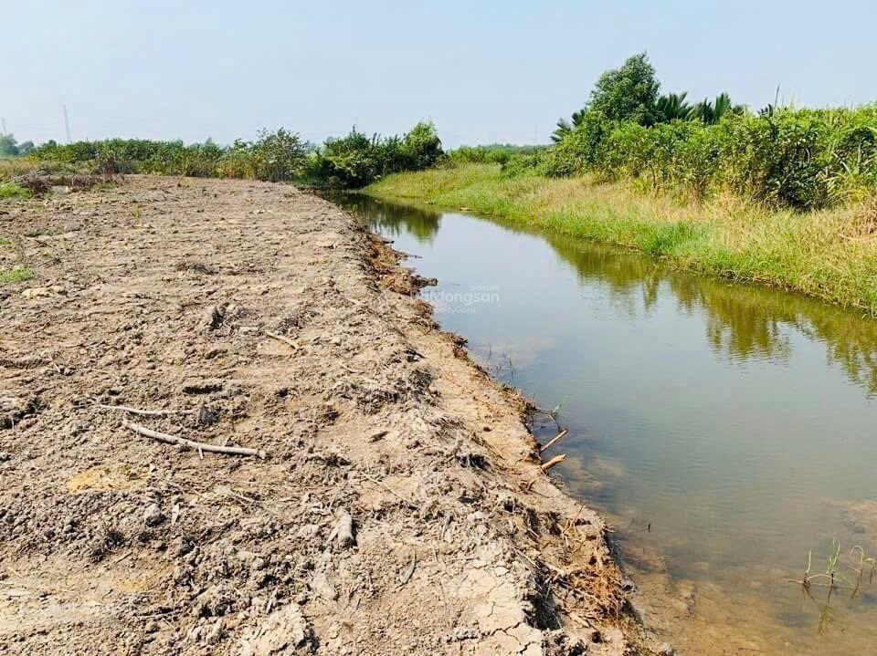 5ha đất vườn gần đá ba chồng, hồ trị an, điểm giao cao tốc. đường bê tông. giá 265 triệu/sào