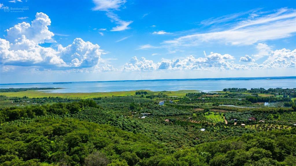 Vườn xoài ngay hồ trị an giá chỉ 460 triệu/sào. cách điểm giao cao tốc 5km, công chứng trong ngày