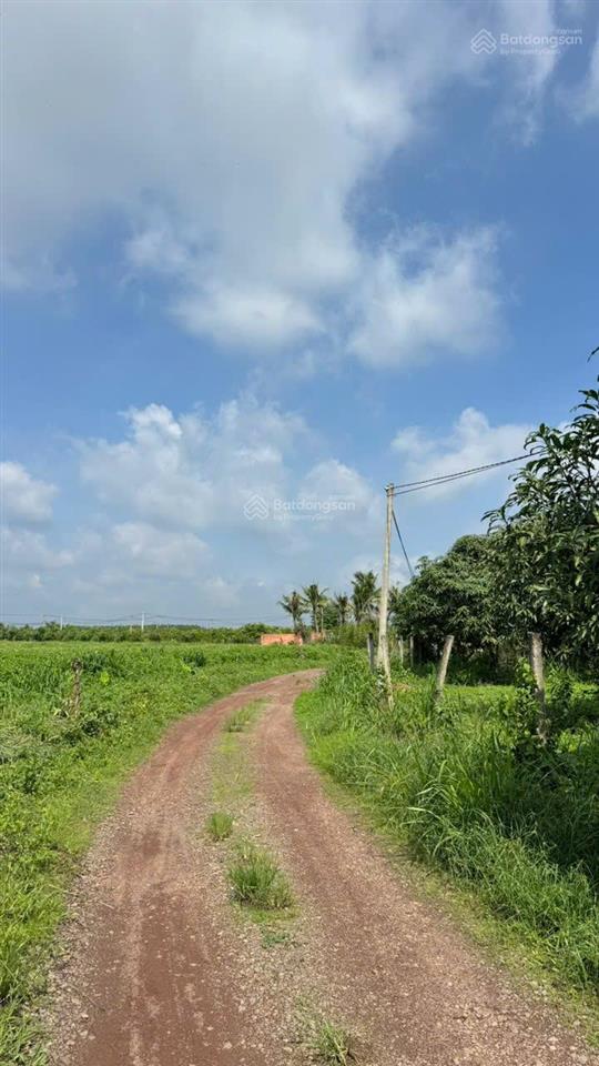 Vườn xoài ngay hồ trị an giá chỉ 460 triệu/sào. cách điểm giao cao tốc 5km, công chứng trong ngày