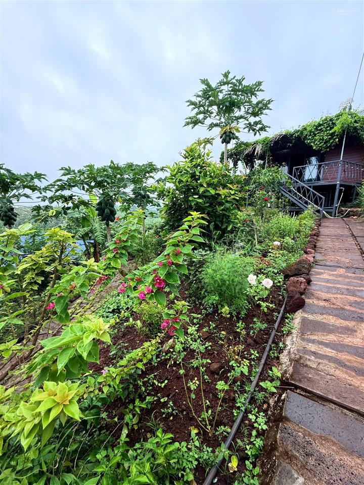 2400m² đất vườn, view hồ trị an, đón bình minh rất đẹp. cách ql20 400m, đường betông. chỉ 850tr