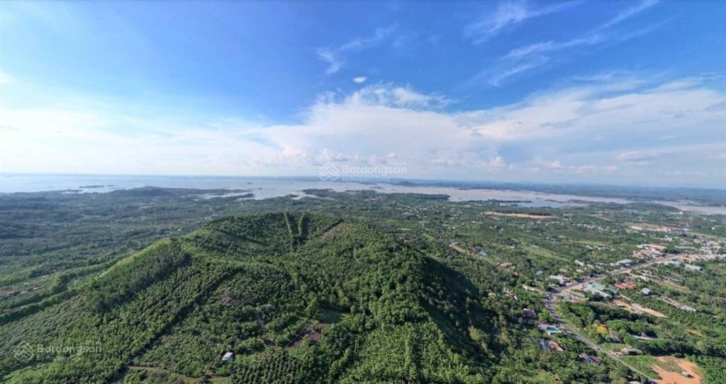 2400m² đất vườn, view hồ trị an, đón bình minh rất đẹp. cách ql20 400m, đường betông. chỉ 850tr