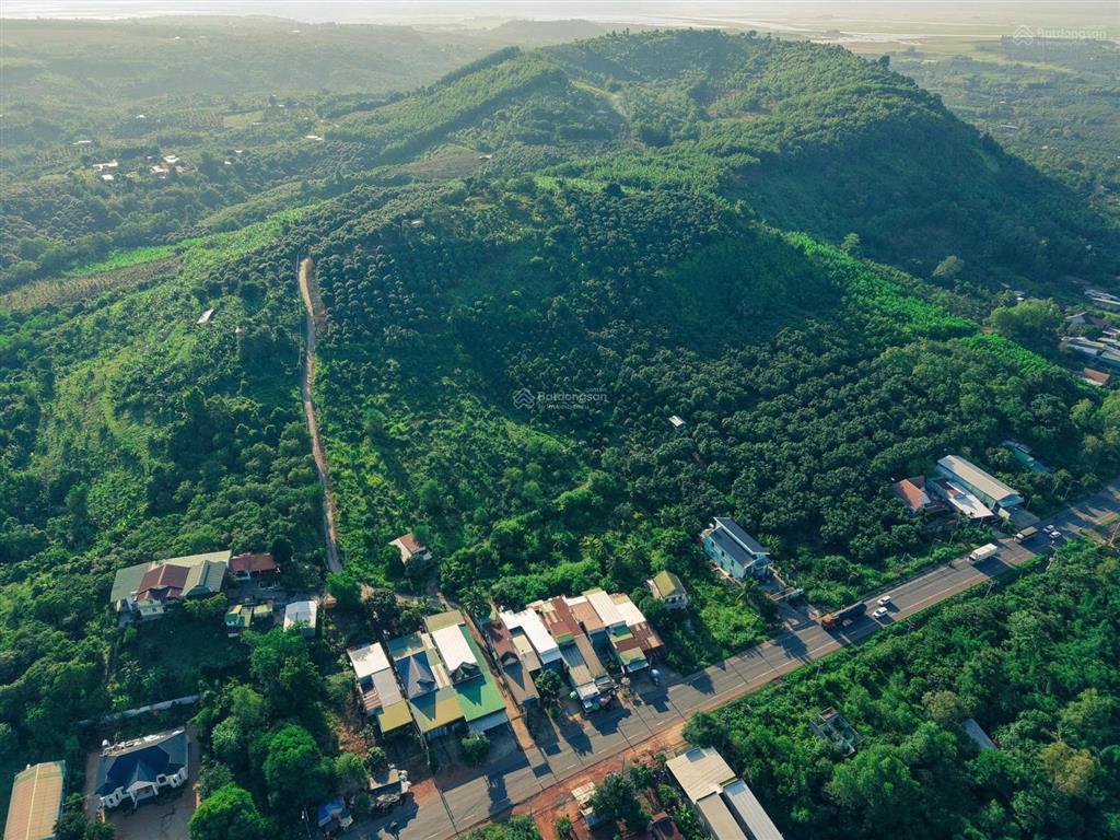 2400m² đất vườn, view hồ trị an, đón bình minh rất đẹp. cách ql20 400m, đường betông. chỉ 850tr