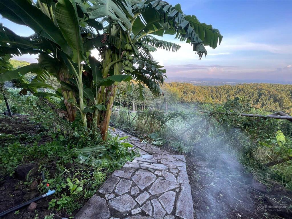 2400m² đất vườn, view hồ trị an, đón bình minh rất đẹp. cách ql20 400m, đường betông. chỉ 850tr