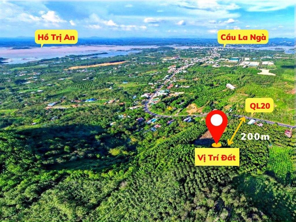 3.000m2 vườn xoài view hồ trị an cách ql20 chỉ 300m công chứng trong ngày  570 triệu