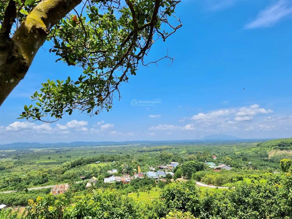 3.000m2 vườn xoài view hồ trị an cách ql20 chỉ 300m công chứng trong ngày  570 triệu