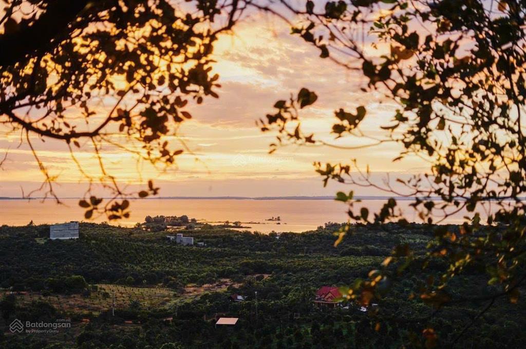 3.000m2 vườn xoài view hồ trị an cách ql20 chỉ 300m công chứng trong ngày  570 triệu