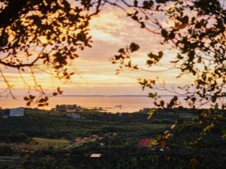 3.000m2 vườn xoài view hồ trị an cách ql20 chỉ 300m công chứng trong ngày  570 triệu