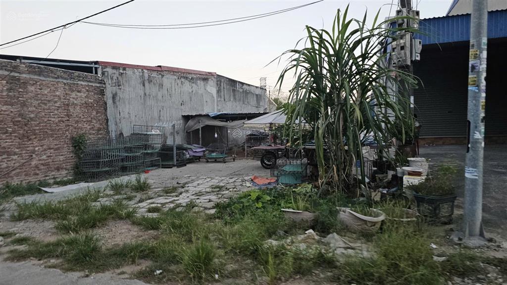 Bán đất 100m2 ngang 6m mặt đường an kim hải, an dương  giá chỉ 4,1 tỷ