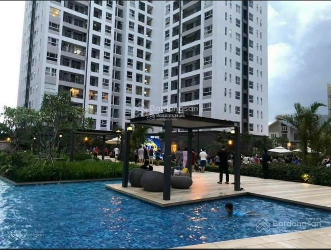 Cho thuê ch studio sunrise riverside full nt, gần rmit, đh tôn đức thắng, lottemart, 10"về quận 1