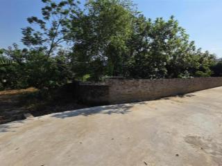 Bán cắt lỗ hiếm có 1 lô đất giá chỉ 600 triệu  100m2 full thổ cư sóc sơn  hà nội.  0968 135 ***