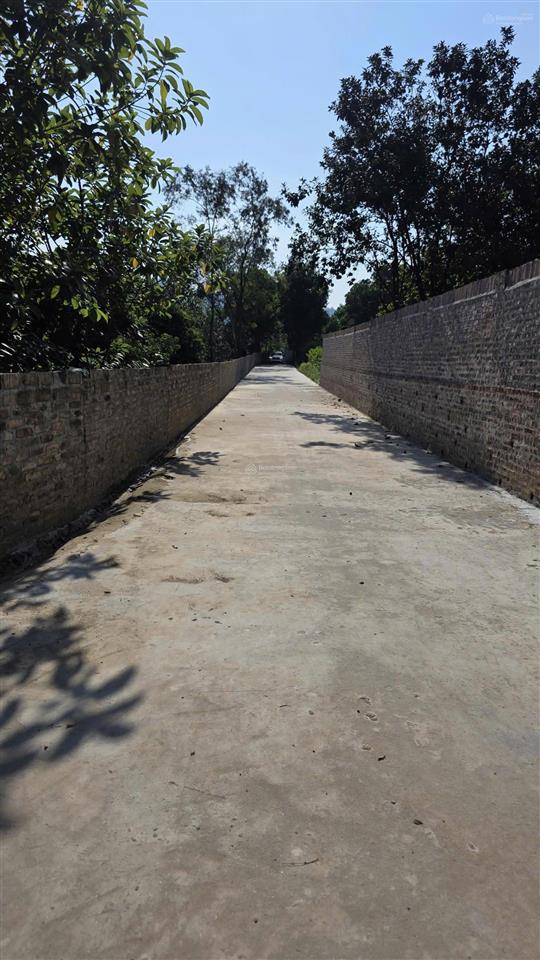Bán cắt lỗ hiếm có 1 lô đất giá chỉ 600 triệu  100m2 full thổ cư sóc sơn  hà nội.  0968 135 ***