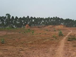 Siêu hiếm 3.5ha đất sx mặt đt 302c, trung mỹ, bình xuyên, vĩnh phúc