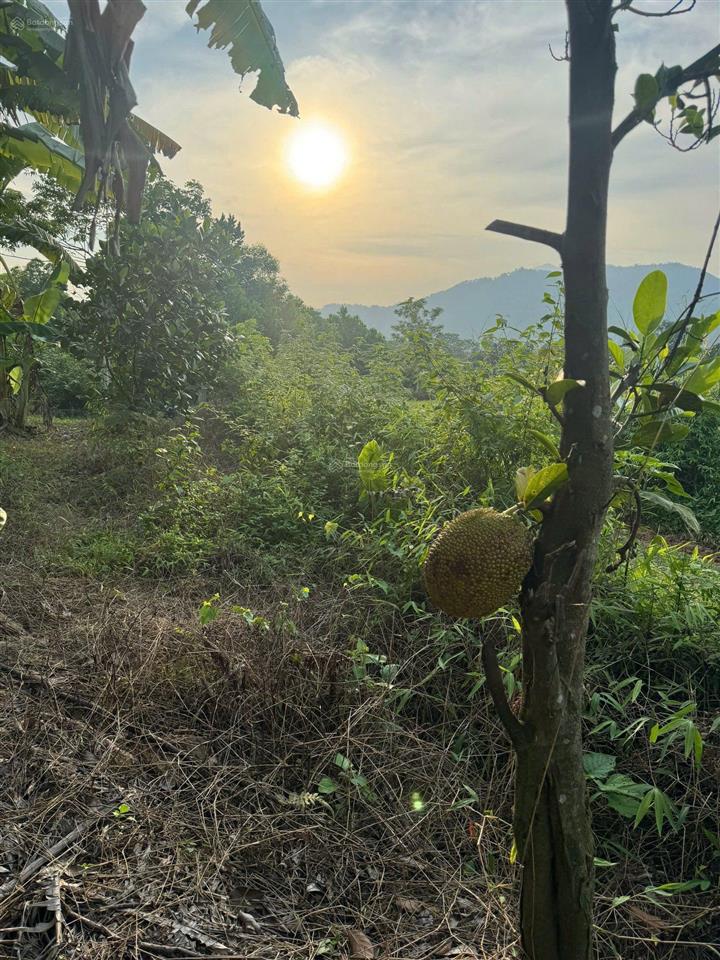 Siêu phẩm lô đất cln, phúc yên, vĩnh phúc.