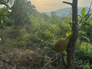 Siêu phẩm lô đất cln, phúc yên, vĩnh phúc.