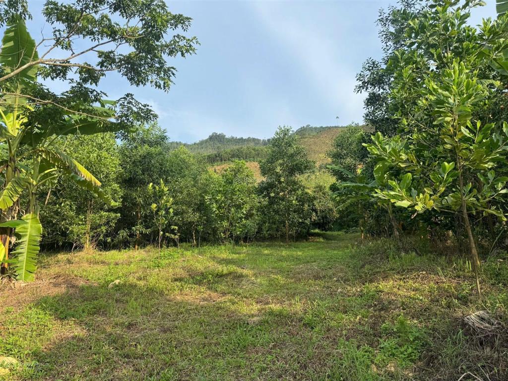 Siêu phẩm lô đất cln, phúc yên, vĩnh phúc.