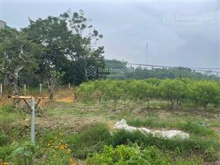 Chính chủ cần bán lô đất cây lâu năm rộng hơn 1,8ha xã ngọc thanh, vĩnh phúc