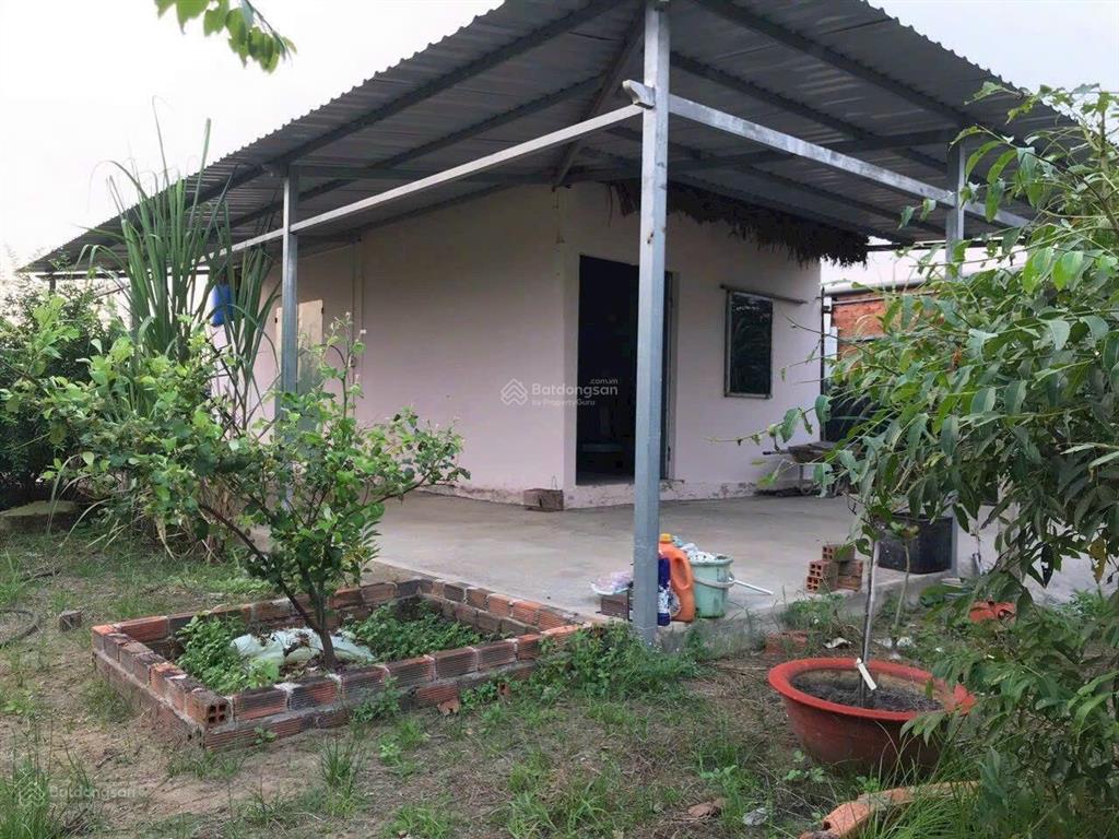 Bán nhà vườn đẹp bình mỹ, 5,6 tỷ, 1200m2 vườn đầy đủ trái cây và nhà cấp 4