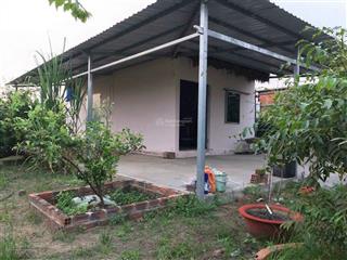 Bán nhà vườn đẹp bình mỹ, 5,6 tỷ, 1200m2 vườn đầy đủ trái cây và nhà cấp 4