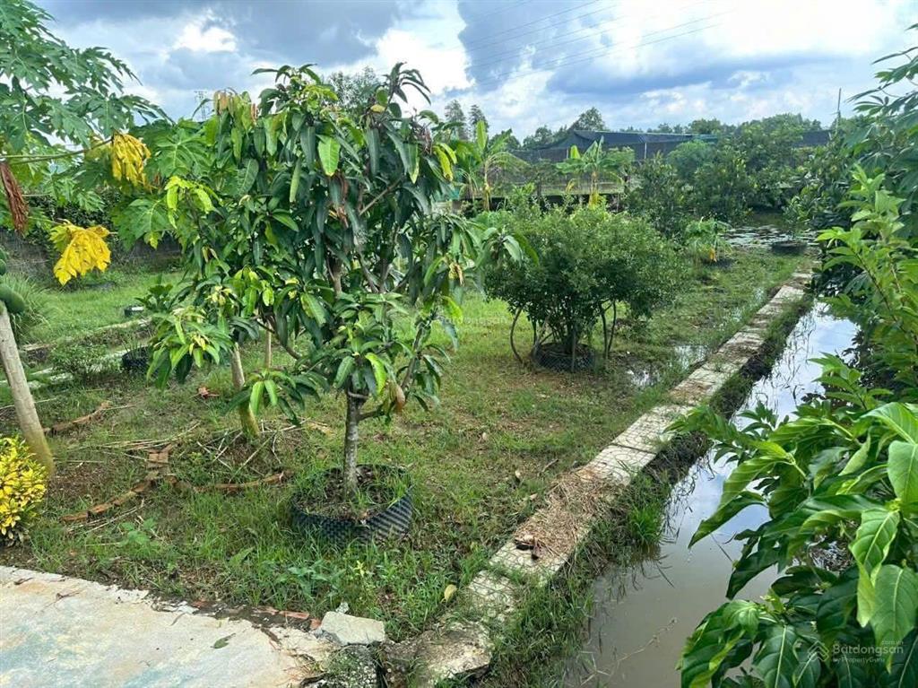 Bán nhà vườn 576m2 tại bình mỹ, củ chi, chỉ với 2,8 tỷ gần vành đai 3 và cao tốc mộc bài hcm