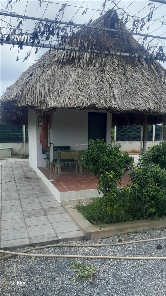 Cần bán nhà vườn 1000m2 lô góc 2 mặt tiền cực đẹp gần đường bình mỹ có sẵn nhà cấp 4, ao cá, vườn