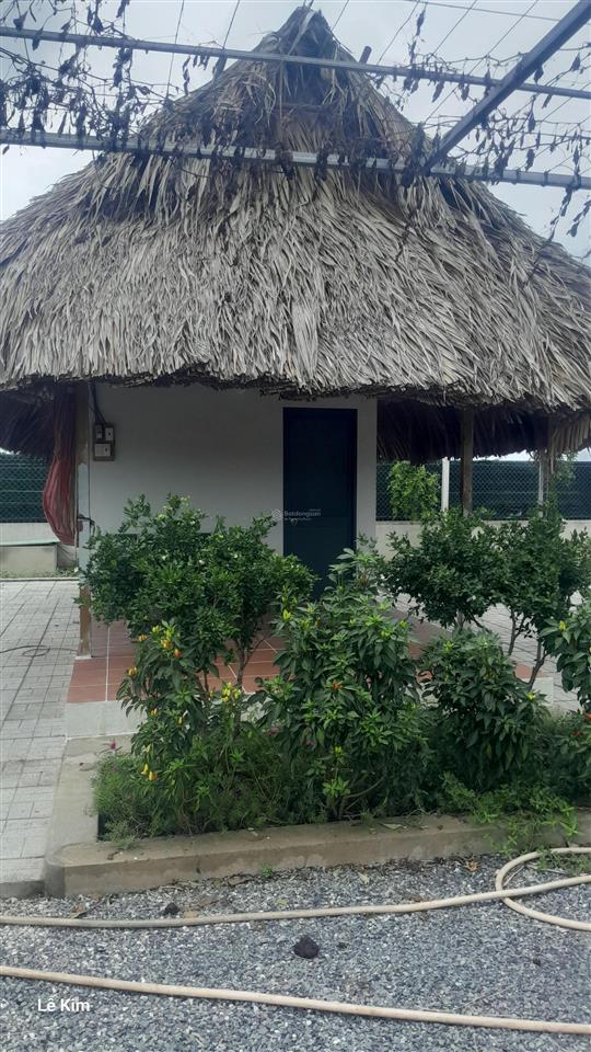 Cần bán nhà vườn 1000m2 lô góc 2 mặt tiền cực đẹp gần đường bình mỹ có sẵn nhà cấp 4, ao cá, vườn