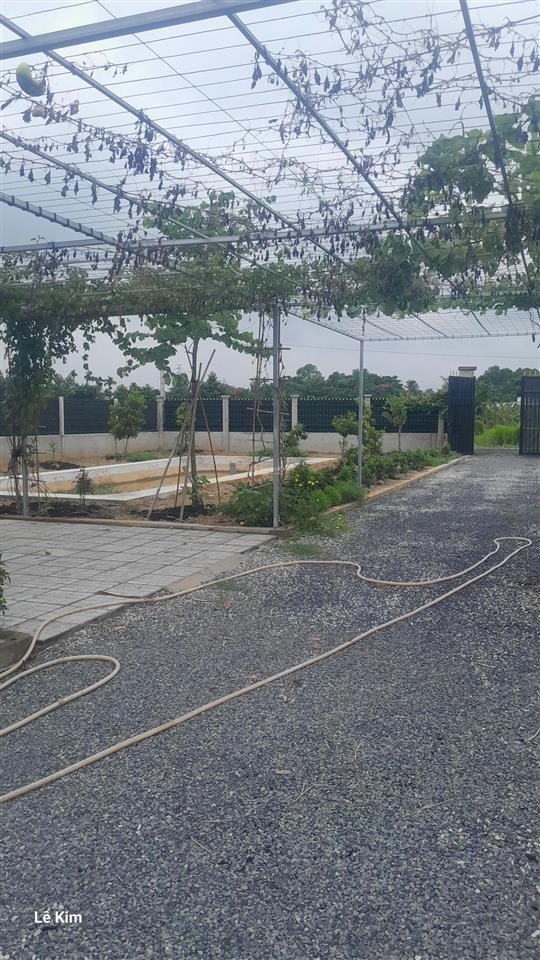 Cần bán nhà vườn 1000m2 lô góc 2 mặt tiền cực đẹp gần đường bình mỹ có sẵn nhà cấp 4, ao cá, vườn