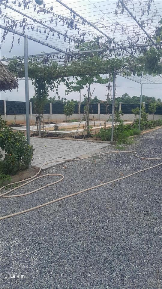 Cần bán nhà vườn 1000m2 lô góc 2 mặt tiền cực đẹp gần đường bình mỹ có sẵn nhà cấp 4, ao cá, vườn
