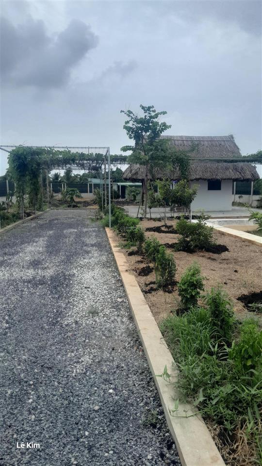 Cần bán nhà vườn 1000m2 lô góc 2 mặt tiền cực đẹp gần đường bình mỹ có sẵn nhà cấp 4, ao cá, vườn