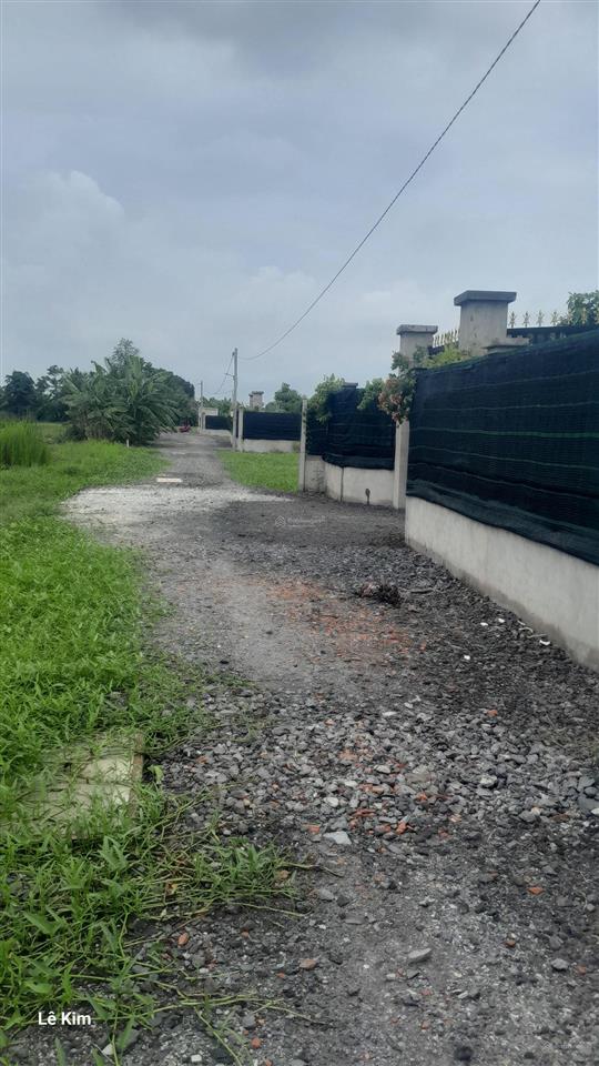 Cần bán nhà vườn 1000m2 lô góc 2 mặt tiền cực đẹp gần đường bình mỹ có sẵn nhà cấp 4, ao cá, vườn
