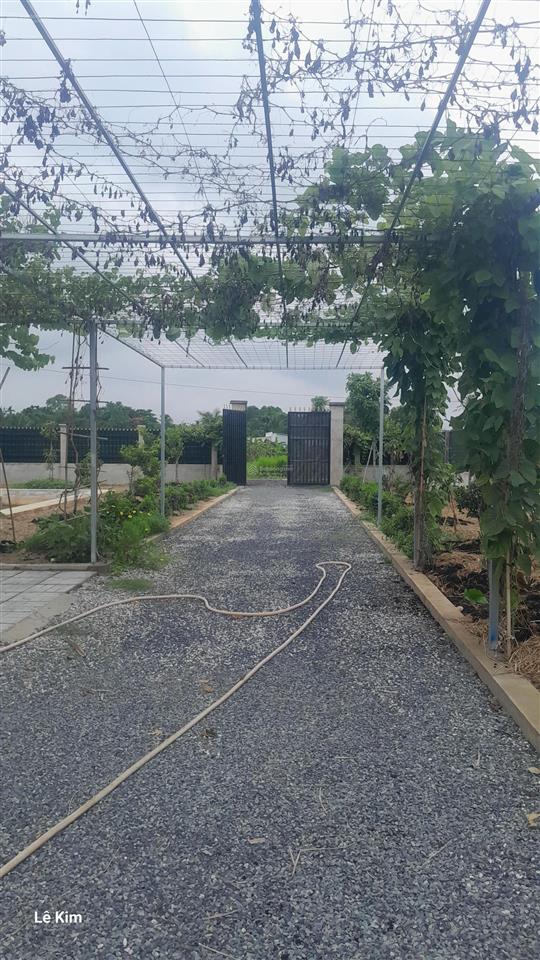 Cần bán nhà vườn 1000m2 lô góc 2 mặt tiền cực đẹp gần đường bình mỹ có sẵn nhà cấp 4, ao cá, vườn