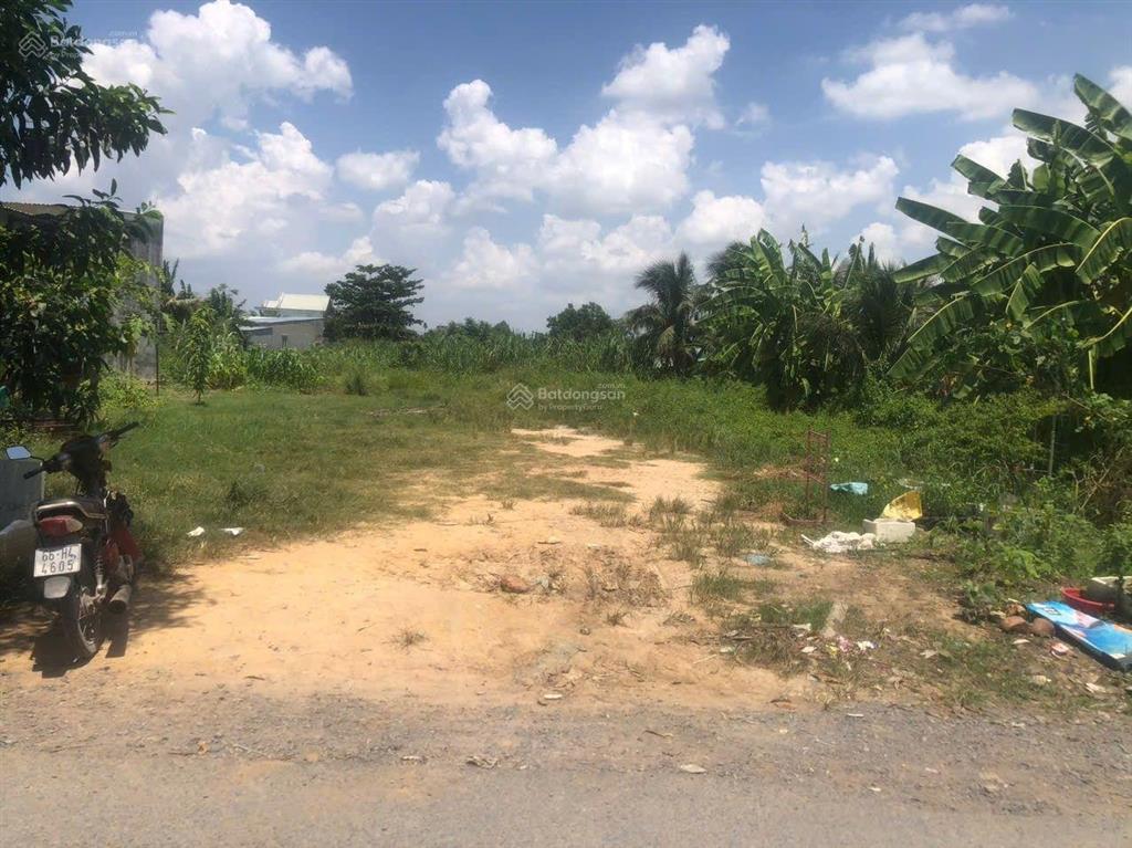 Bán đất 1277m2 có 200m2 thổ cư mặt tiền đường nhựa 177 bình mỹ củ chi. đường nhựa thông xe tải