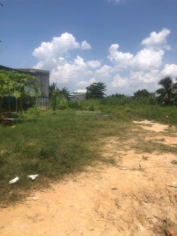 Bán đất 1277m2 có 200m2 thổ cư mặt tiền đường nhựa 177 bình mỹ củ chi. đường nhựa thông xe tải