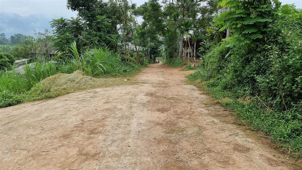 Nhỉnh tỷ có ngay gần 2000m² đất tân lạc sẵn sổ