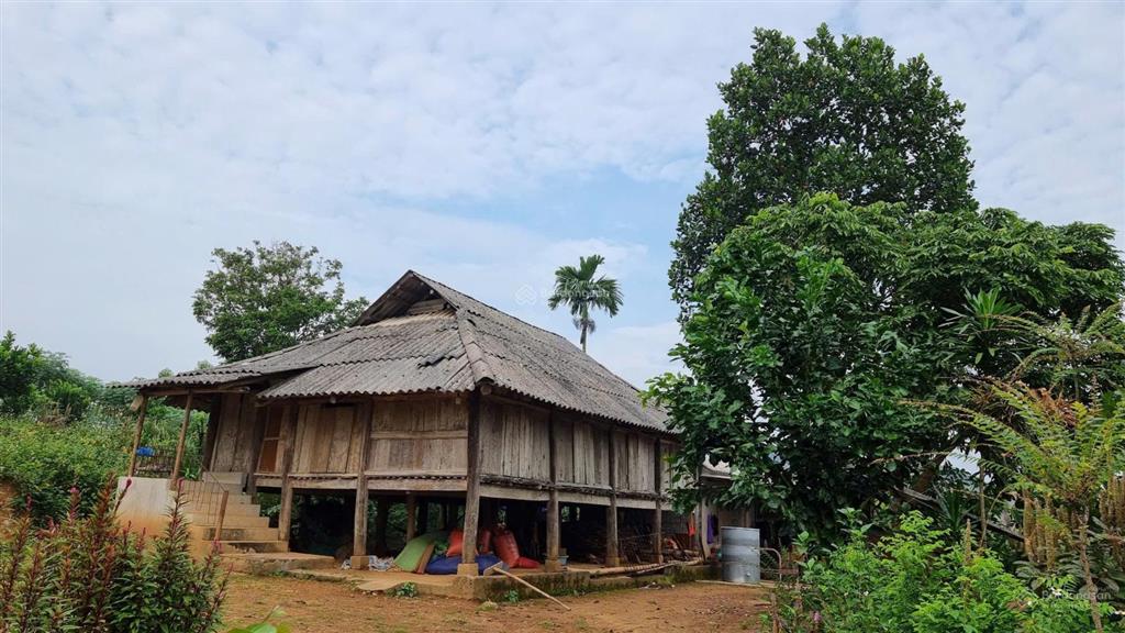 Nhỉnh tỷ có ngay gần 2000m² đất tân lạc sẵn sổ