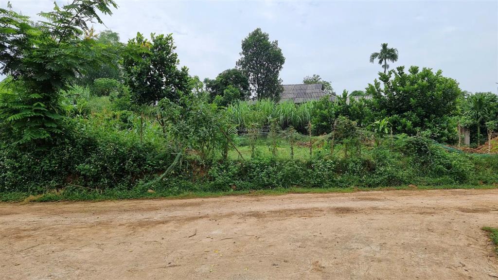 Nhỉnh tỷ có ngay gần 2000m² đất tân lạc sẵn sổ
