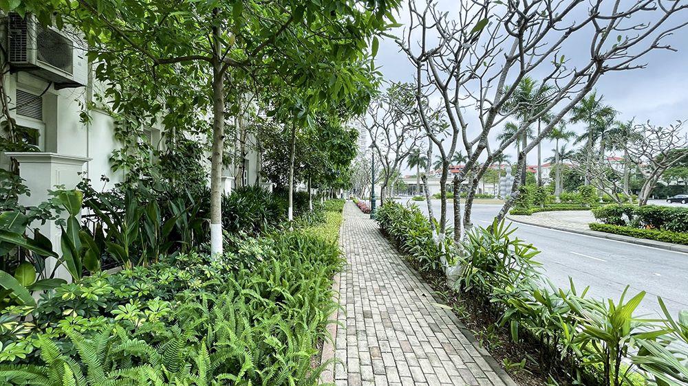 Cơ Hội Sở Hữu Biệt Thự Và Liền Kề Splendora Giá Cực Hời Cho Nhà Đầu Tư