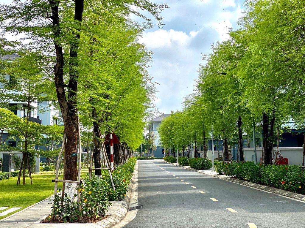 Cơ Hội Sở Hữu Biệt Thự Và Liền Kề Splendora Giá Cực Hời Cho Nhà Đầu Tư