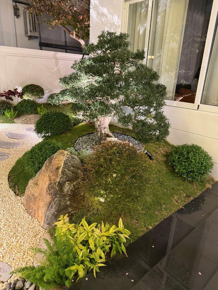 🏡 2 Căn Biệt Thự, Liền kề Đẹp – Splendora Bắc An Khánh – Sở Hữu Ngay!