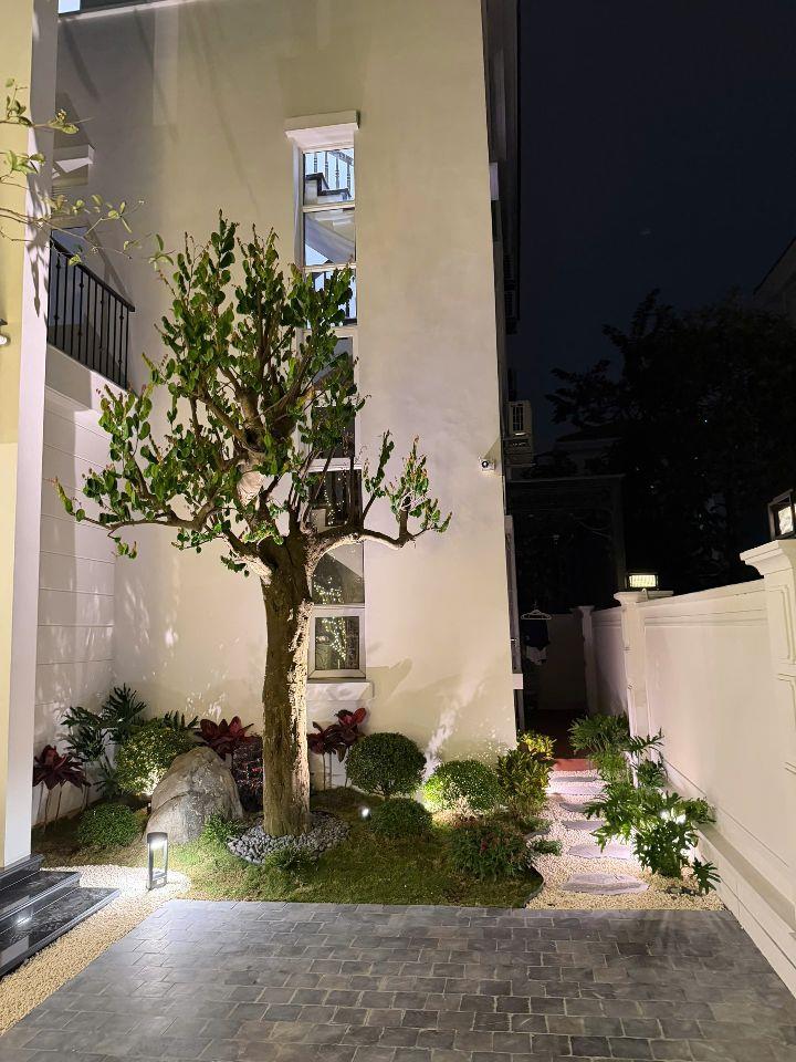 🏡 2 Căn Biệt Thự, Liền kề Đẹp – Splendora Bắc An Khánh – Sở Hữu Ngay!