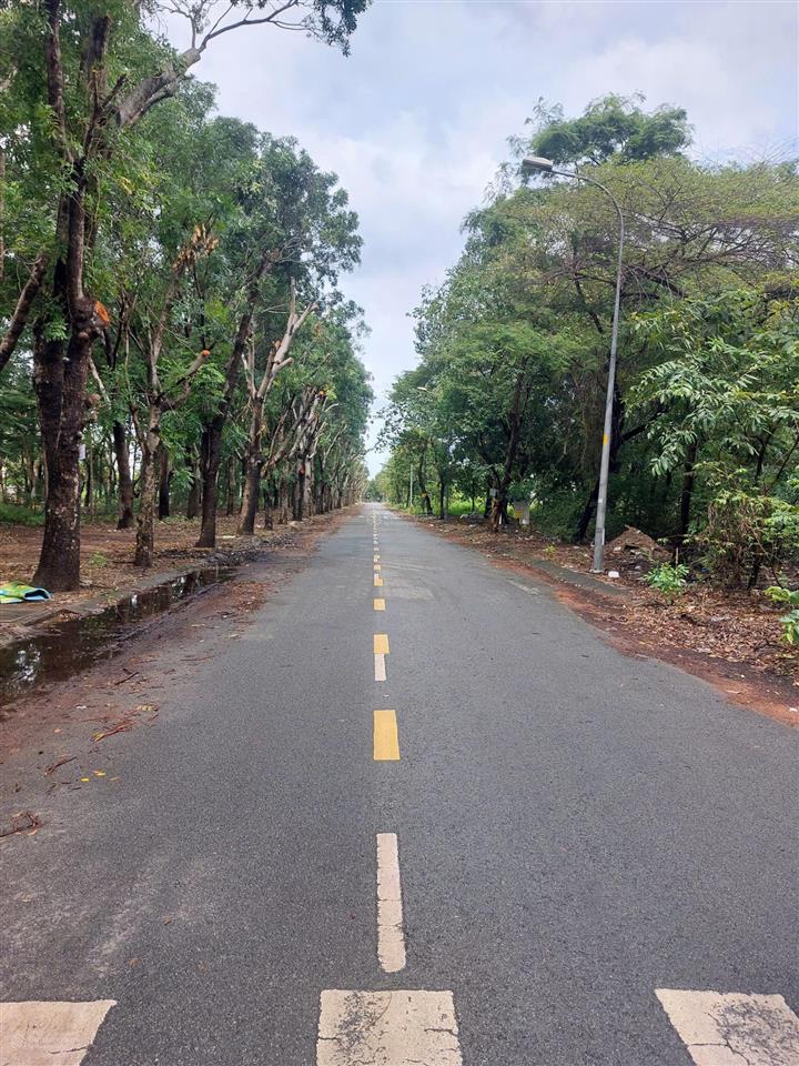 Bán lô đất sổ đỏ cá nhân.đường đôi công viên. tại kdc cát lái, quận 2.dt 5x20m(100m2) giá 85 tr/m2.