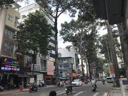 Độc nhất quá đẹp, mặt tiền kinh doanh 3/2, 4x21m, 7 tầng, thang máy, 25.5 tỷ, khúc đẹp lề 8m, q10