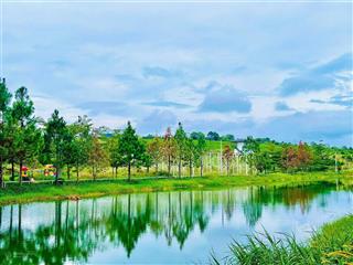 Cần tiền bấn gấp miếng đất phường 2 bảo lộc trong ngày diện tích 616m2