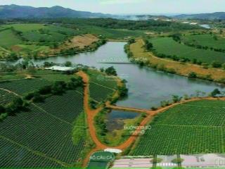 Lô đất đối diện tâm châu farm  diên tích 500m2